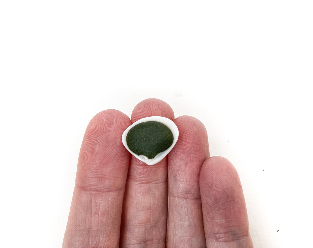 Green Opalite (Shell)