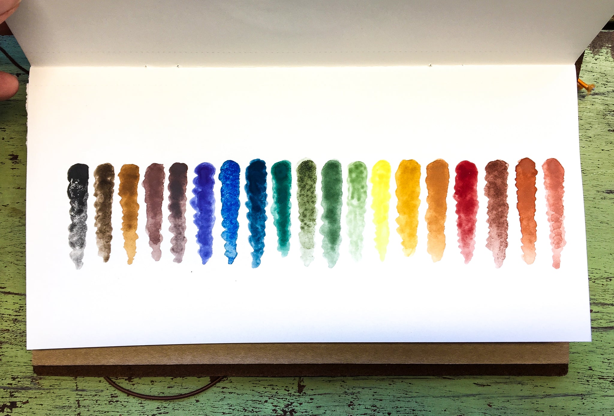 Inventing Color Greenleaf Blueberry