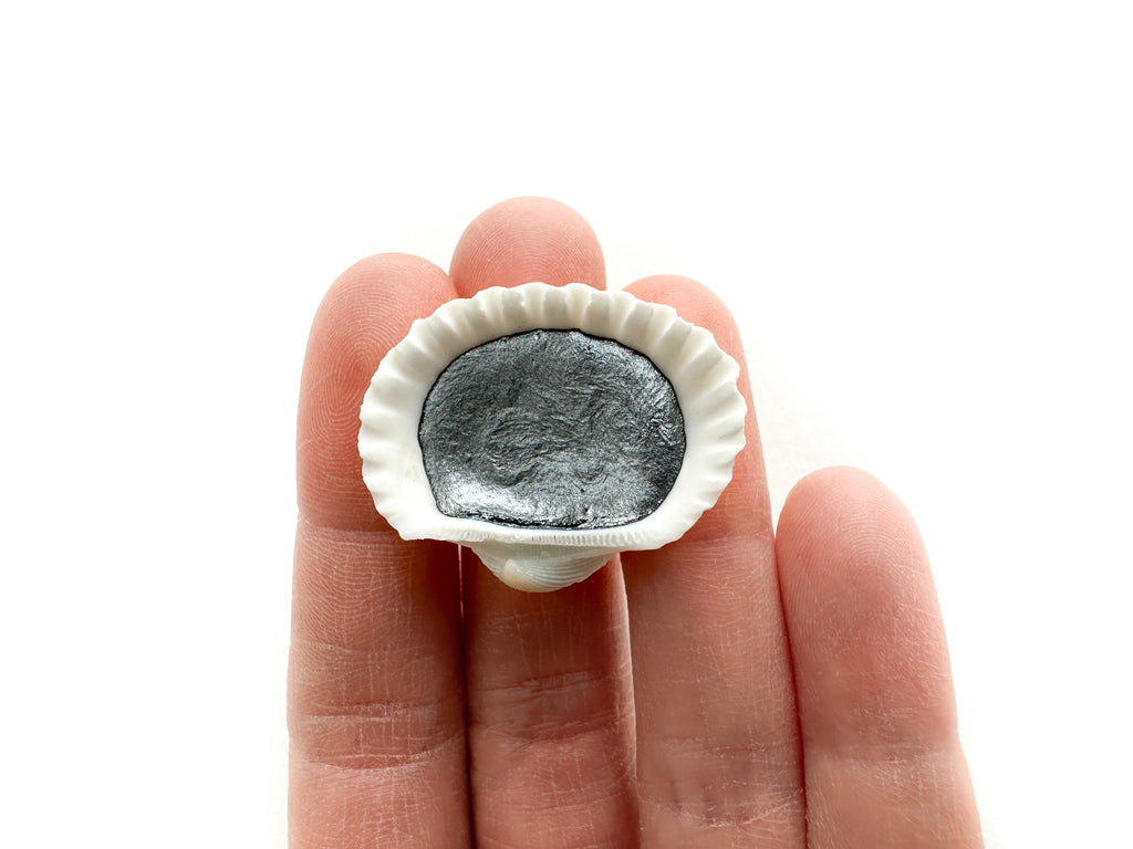 Faux Silver Seashell, Limited Edition
