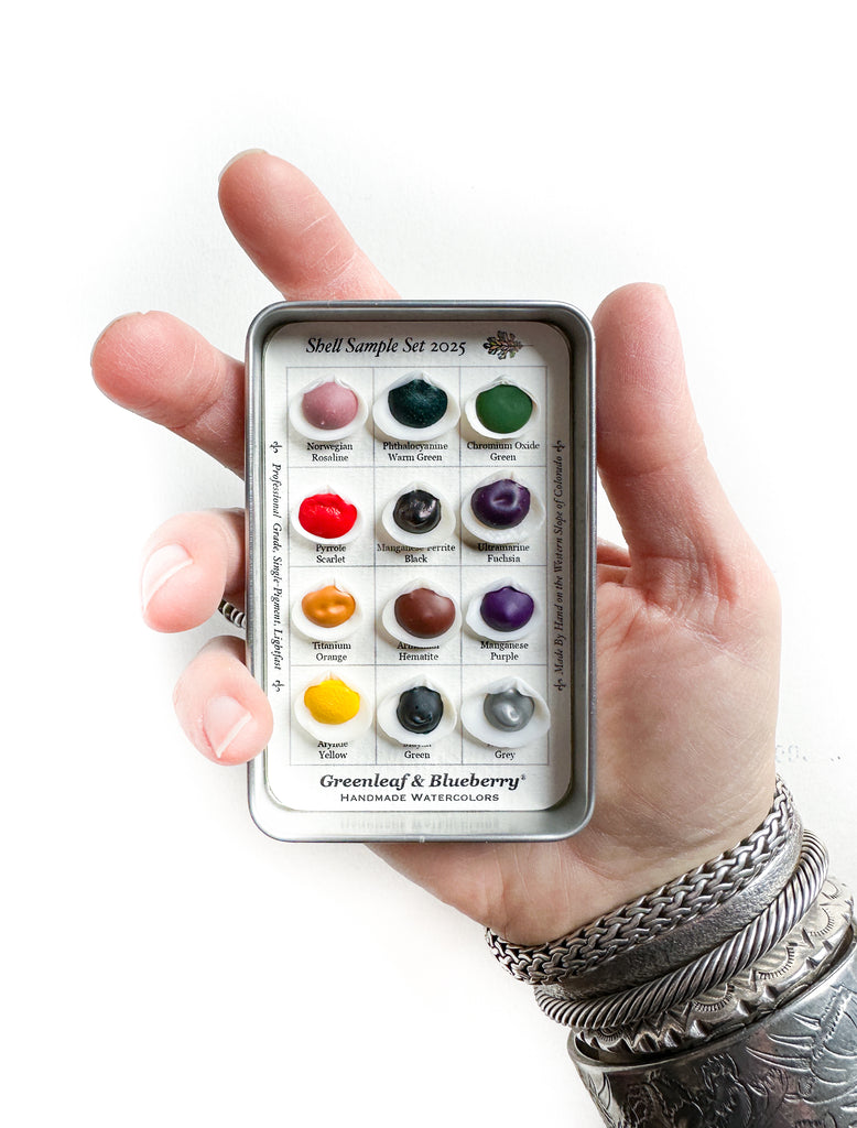 Shell Sample Kit Sample Set in Seashells, 2025 Edition – Greenleaf & Blueberry