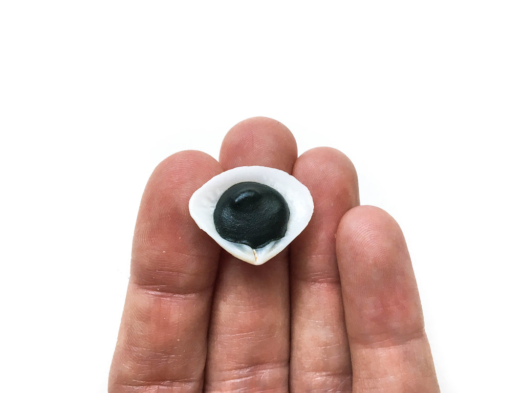 Celadonite (Shell)