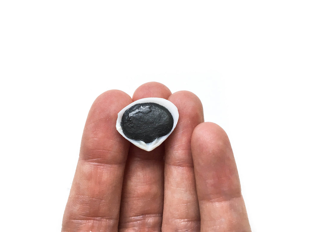 Graphite (Shell)