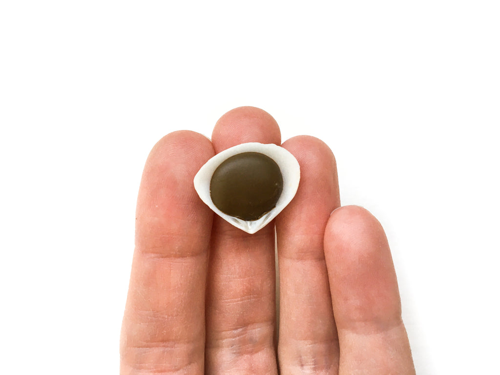Brown Ochre (Shell)