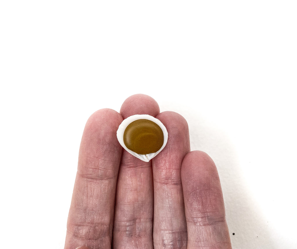 Limonite (Shell) Limited Edition