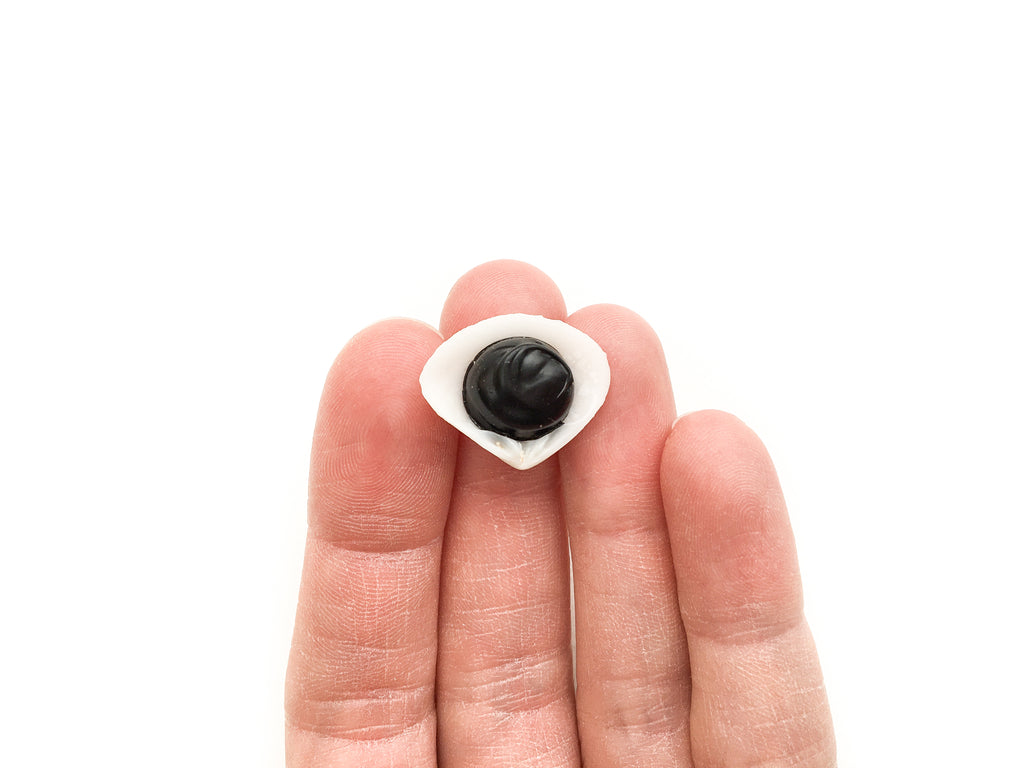Magnetite (Shell)