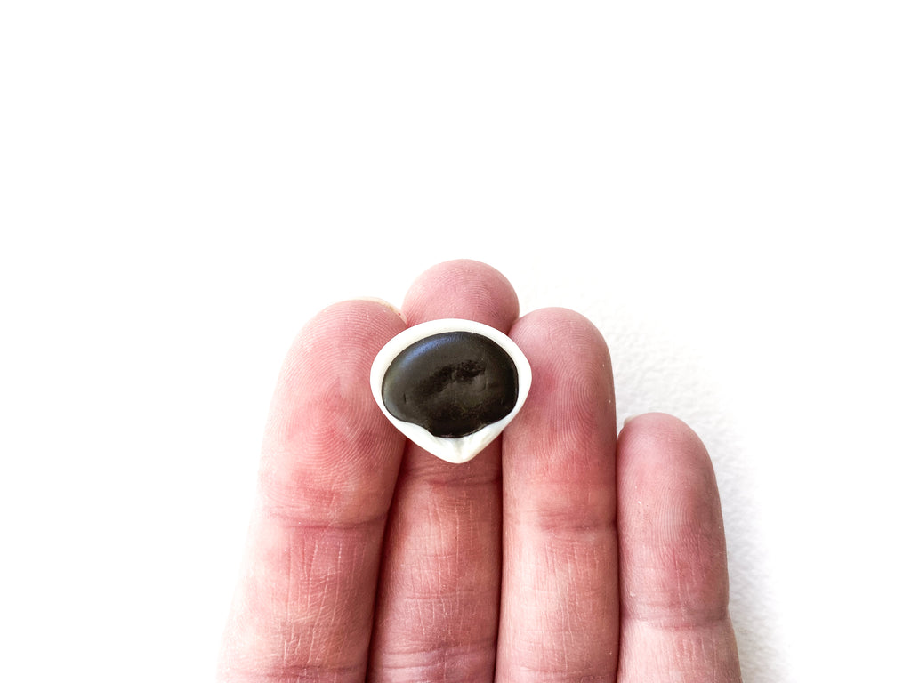 Meteorite (Shell)