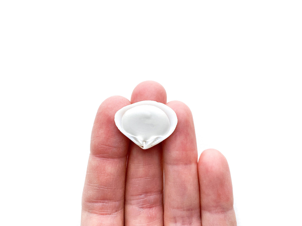 Seashell (Limited Edition Shell)