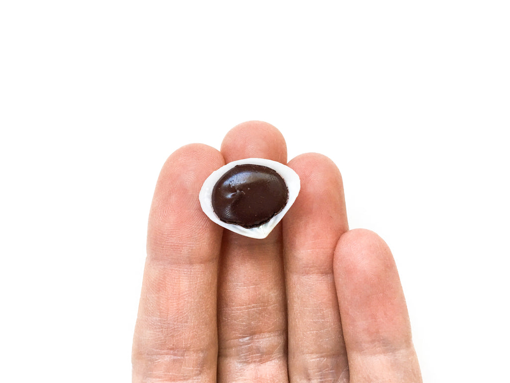 Purple Ochre (Shell)