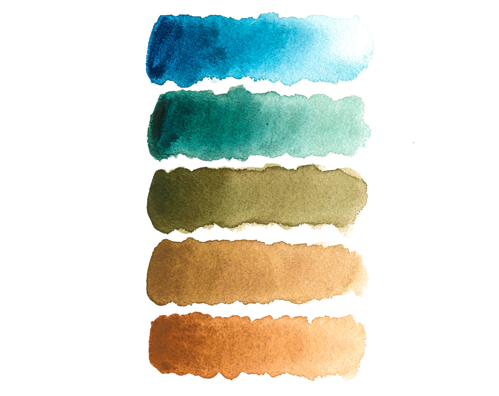 New Wild Bird's Egg PaletteWatercolor Palette, Half-Pans